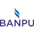 Banpu Public logo