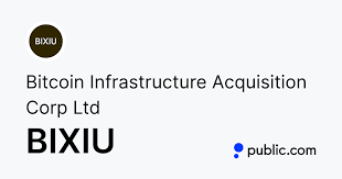 Bitcoin Infrastructure Acquisition logo