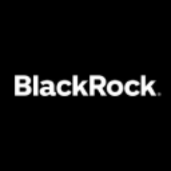 BlackRock MuniHoldings New York Quality Fund logo