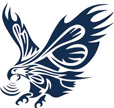 Bold Eagle Acquisition Corp. - Class A Ordinary Shares logo