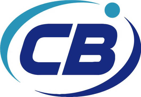 China BAK Battery logo