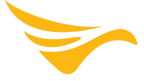 Drone Delivery Canada logo