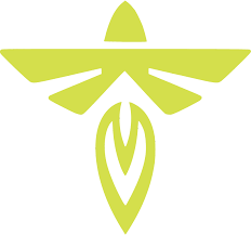 Firefly Aerospace logo