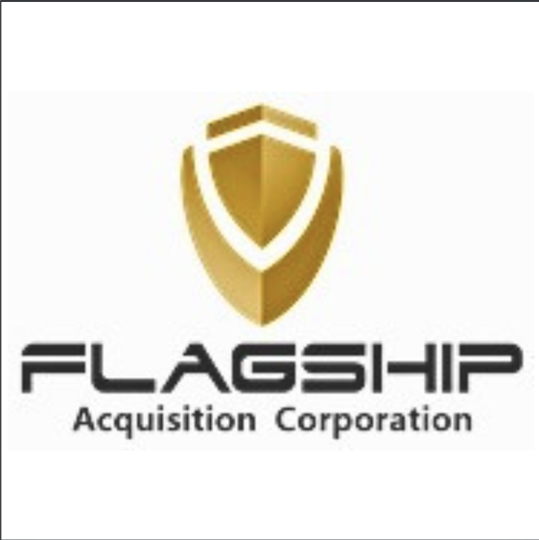 Flag Ship Acquisition logo