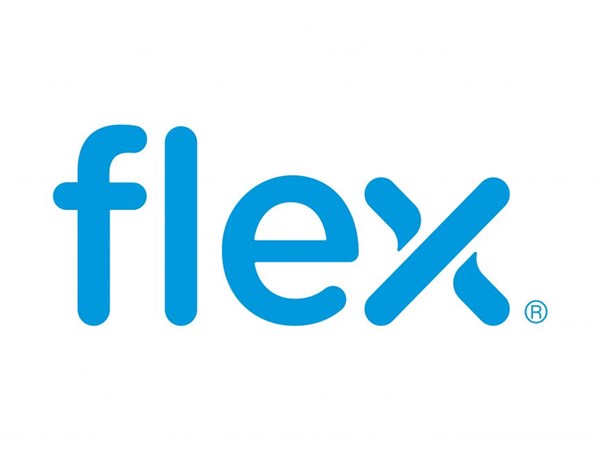 Flex logo