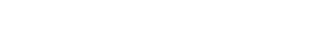 Iida Group logo