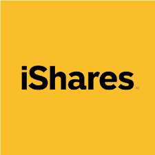 iShares China Large-Cap ETF logo
