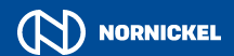 Public Joint Stock Company Mining and Metallurgical Company Norilsk Nickel logo