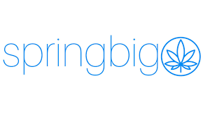 SpringBig logo