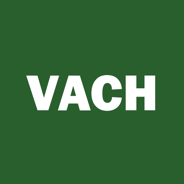 Voyager Acquisition logo